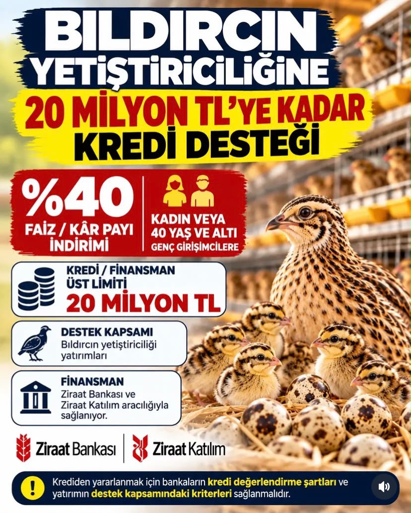 BILDIRCIN YETİŞTİRİCİLİĞİNE 20 MİLYON TL’YE KADAR KREDİ DESTEĞİ